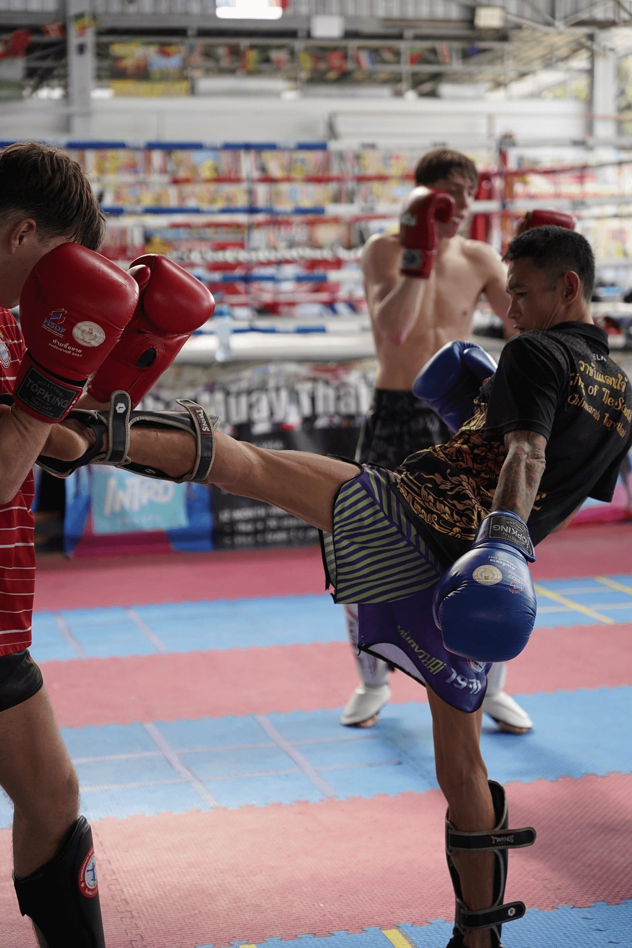 Koh Phangan Gyms & Training Packages