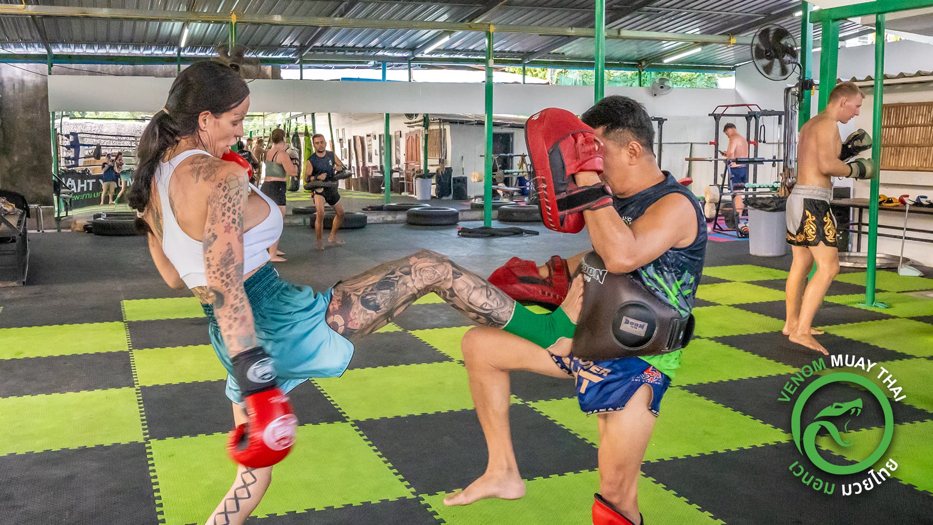 Venom Muay Thai