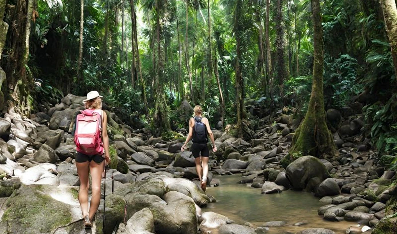 Hike through jungles