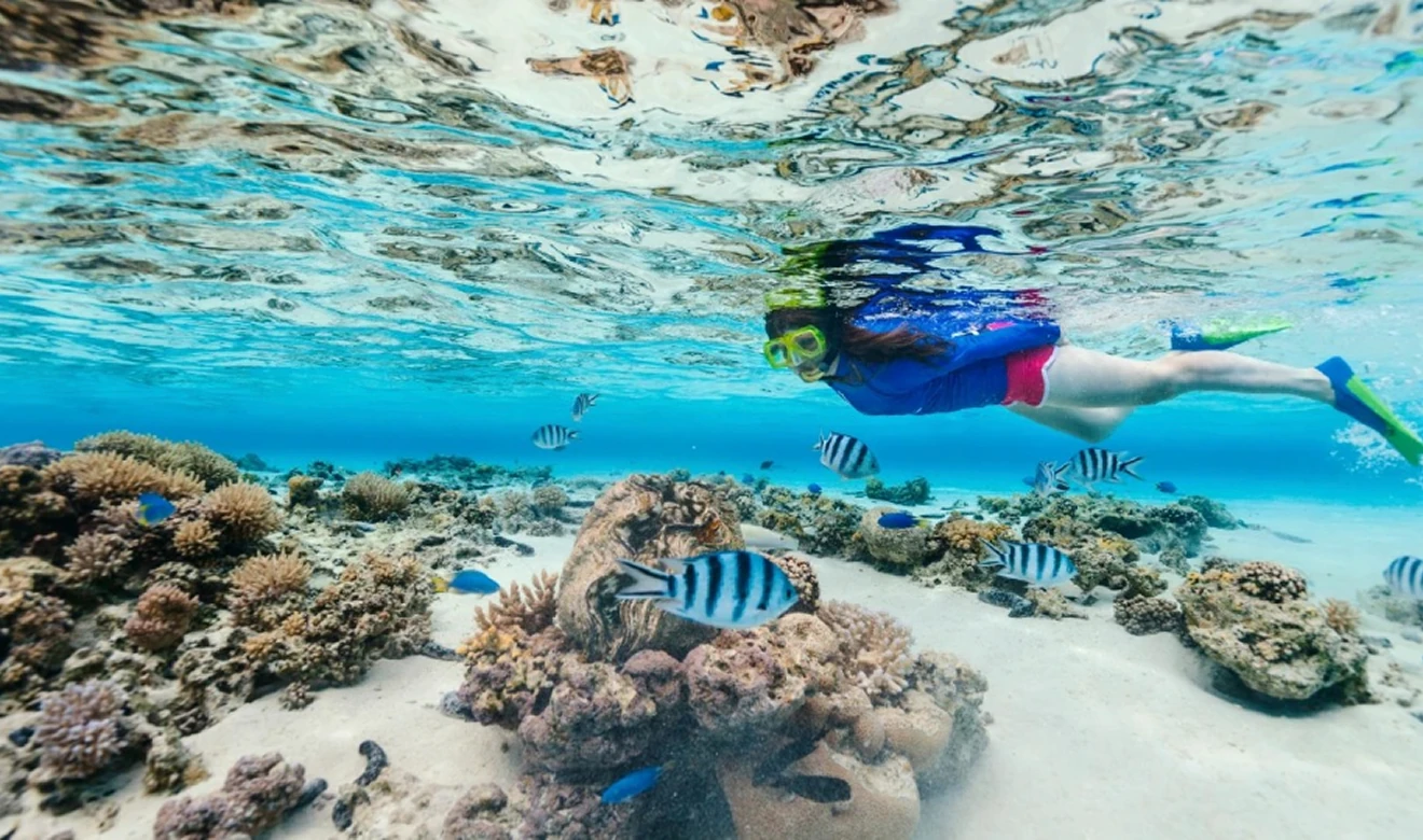 Snorkel crystal-clear reefs